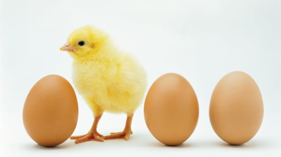 FOTO: Thinkstock